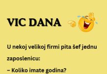 VIC DANA: Godine VIC DANA: Godine - featured image
