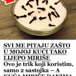 SVI ME PITAJU ZAŠTO U MOJOJ KUĆI TAKO LIJEPO MIRIŠE: Ovo je trik koji koristim, samo 2 sastojka – A KUĆA MIRIŠE DANIMA SVI ME PITAJU ZAŠTO U MOJOJ KUĆI TAKO LIJEPO MIRIŠE: Ovo je trik koji koristim, samo 2 sastojka – A KUĆA MIRIŠE DANIMA - featured image
