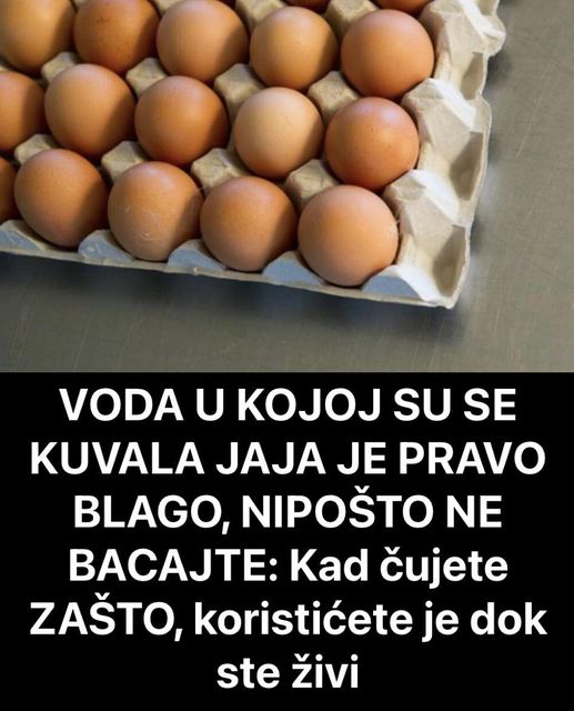 VODA U KOJOJ SU SE KUVALA JAJA JE PRAVO BLAGO, NIPOŠTO NE BACAJTE: Kad čujete ZAŠTO, koristićete je dok ste živi - featured image VODA U KOJOJ SU SE KUVALA JAJA JE PRAVO BLAGO, NIPOŠTO NE BACAJTE: Kad čujete ZAŠTO, koristićete je dok ste živi - featured image