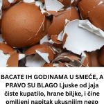 BACATE IH GODINAMA U SMEĆE, A PRAVO SU BLAGO Ljuske od jaja čiste kupatilo, hrane biljke, i čine omiljeni napitak ukusnijim nego ikad! BACATE IH GODINAMA U SMEĆE, A PRAVO SU BLAGO Ljuske od jaja čiste kupatilo, hrane biljke, i čine omiljeni napitak ukusnijim nego ikad! - content image