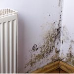 KUĆA VAM SMRDI NA VLAGU, ZIDOVI SE CRNE?? EVO kako da se REŠITE ove NAPASTI, kao da je nikad nije bilo! KUĆA VAM SMRDI NA VLAGU, ZIDOVI SE CRNE?? EVO kako da se REŠITE ove NAPASTI, kao da je nikad nije bilo! - featured image