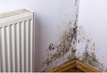 KUĆA VAM SMRDI NA VLAGU, ZIDOVI SE CRNE?? EVO kako da se REŠITE ove NAPASTI, kao da je nikad nije bilo! KUĆA VAM SMRDI NA VLAGU, ZIDOVI SE CRNE?? EVO kako da se REŠITE ove NAPASTI, kao da je nikad nije bilo! - featured image