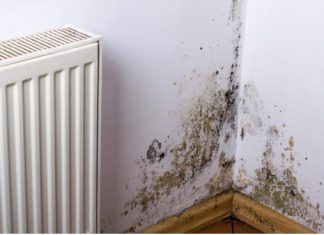 KUĆA VAM SMRDI NA VLAGU, ZIDOVI SE CRNE?? EVO kako da se REŠITE ove NAPASTI, kao da je nikad nije bilo! KUĆA VAM SMRDI NA VLAGU, ZIDOVI SE CRNE?? EVO kako da se REŠITE ove NAPASTI, kao da je nikad nije bilo! - featured image
