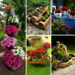 10 kreativnih ideja za cvjetne dekoracije u dvorištu koje će svaki prostor pretvoriti u malu oazu 10 kreativnih ideja za cvjetne dekoracije u dvorištu koje će svaki prostor pretvoriti u malu oazu - featured image