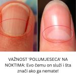 VAŽNOST ‘POLUMJESECA’ NA NOKTIMA: Evo čemu on služi i šta znači ako ga nemate! VAŽNOST ‘POLUMJESECA’ NA NOKTIMA: Evo čemu on služi i šta znači ako ga nemate! - featured image