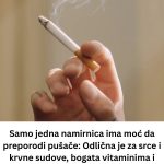 Samo jedna namirnica ima moć da preporodi pušače: Odlična je za srce i krvne sudove, krcata vitaminima i mineralima Samo jedna namirnica ima moć da preporodi pušače: Odlična je za srce i krvne sudove, krcata vitaminima i mineralima - featured image