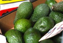 Važno je znati: Kada je braon avokado bezbjedan za jelo, a kada ne Važno je znati: Kada je braon avokado bezbjedan za jelo, a kada ne - featured image